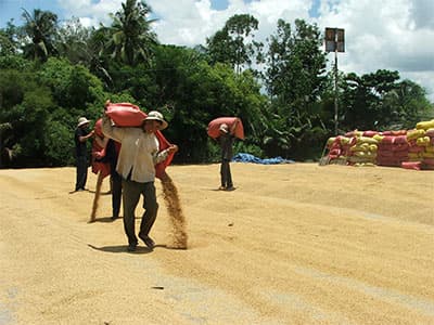 Những yếu tố giúp Lũng Lô duy trì sự phát triển