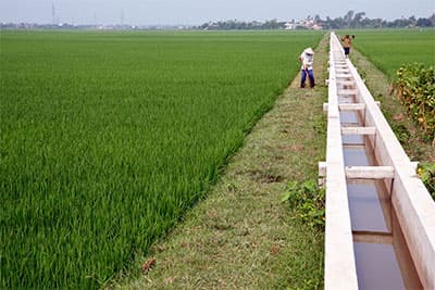 Phát triển nông thôn bền vững