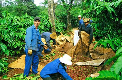 Gắn sản xuất kinh doanh với củng cố vững chắc địa bàn