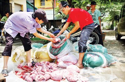 Ớn lạnh thực phẩm bẩn nhập lậu