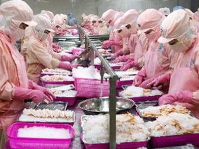 Hàng xuất khẩu đối mặt với nhiều rào cản kỹ thuật