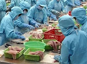 Lạc quan mục tiêu 6,5 tỷ USD xuất khẩu thủy sản