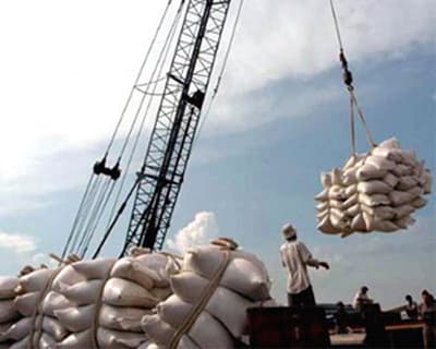 Thái Lan mua gạo Việt Nam để xuất khẩu?