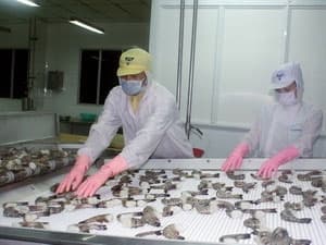 Xuất khẩu thủy sản năm 2013 dự báo không khả quan