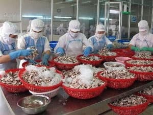 Doanh nghiệp thủy sản xuất khẩu sang Trung Quốc phải đăng ký