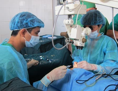 Bảo đảm tất cả người bệnh cấp cứu được điều trị kịp thời trong dịp Tết Bính Thân