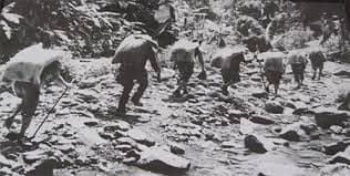 Bảo đảm hậu cần Chiến dịch Đường 9-Khe Sanh, Tết Mậu Thân 1968