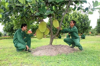 Những đổi thay trên dải biên cương miền Đông Nam Bộ