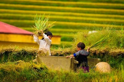 Du lịch từ thiện: Mang yêu thương đến mọi miền