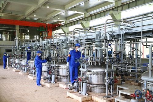 Những người chữa bệnh nghề nghiệp