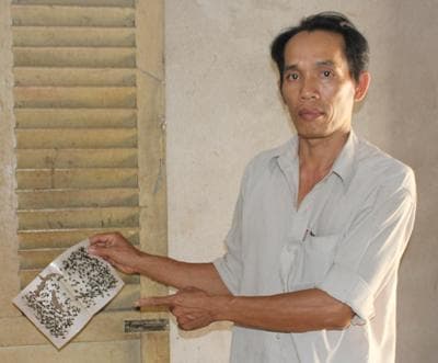 Khổ sở vì... ruồi!