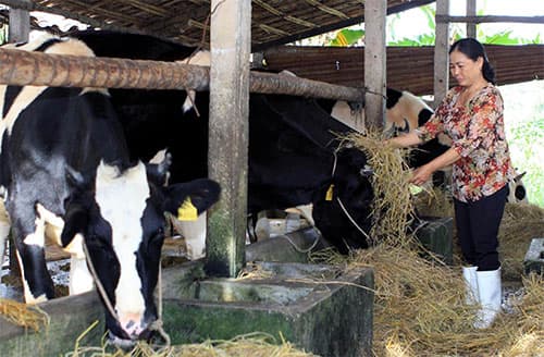 Nơi vùng ven khởi sắc