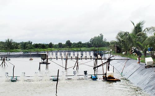 Hỗ trợ người dân phát triển kinh tế