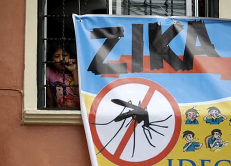 Bộ Y tế chỉ đạo công tác phòng, chống dịch bệnh do vi-rút Zika