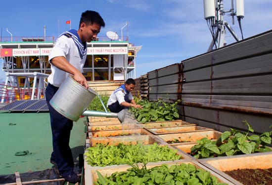 Sắc xuân trên nhà giàn