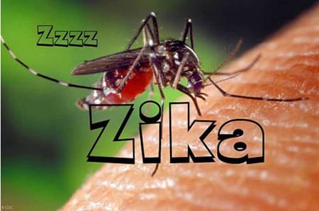 Chủ động phòng, chống bệnh do virus Zika