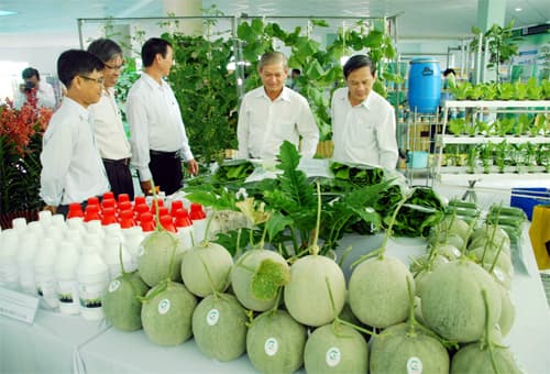 Doanh nghiệp chủ động kết nối, nâng tầm để hội nhập