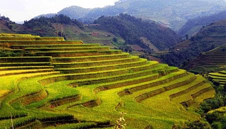 Quảng bá du lịch Việt Nam tại Ấn Độ