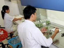 Những hành vi bị nghiêm cấm trong lĩnh vực năng lượng nguyên tử