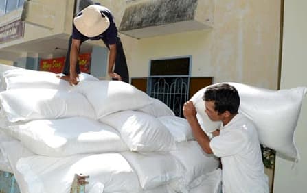Xuất cấp không thu tiền hơn 2.500 tấn gạo cho tỉnh Nghệ An
