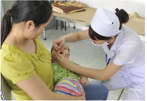 Ngừng sử dụng, thu hồi và tiêu hủy vắc-xin bại liệt uống OPV