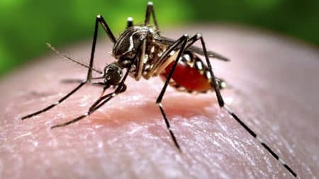 Giám sát chặt chẽ nơi bệnh nhân người Hàn Quốc ở nhiễm Zika tại Việt Nam