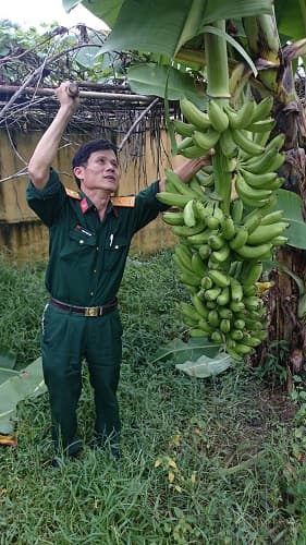 Đẩy mạnh tăng gia để cải thiện đời sống bộ đội