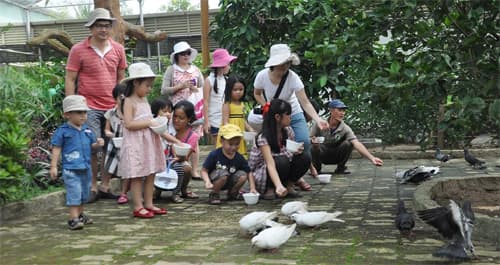 Ngoại khóa hè - "phép tính" không dễ cho phụ huynh học sinh