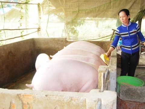 TỪ KHUYẾN CÁO ĐẾN THỰC THI