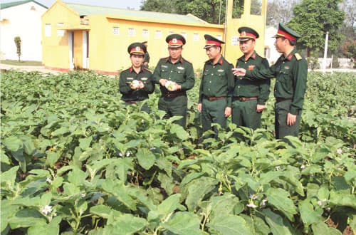 Tăng gia trên vùng đất “thép”