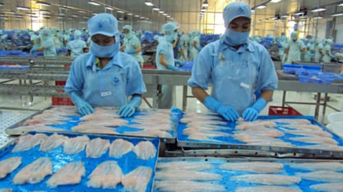 57 cơ sở chế biến cá da trơn Việt Nam được xuất khẩu vào Mỹ