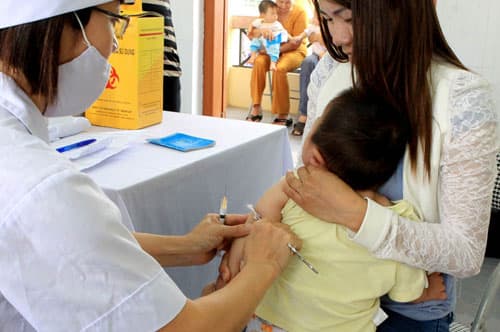 Chủ động phòng, chống bệnh viêm não Nhật Bản