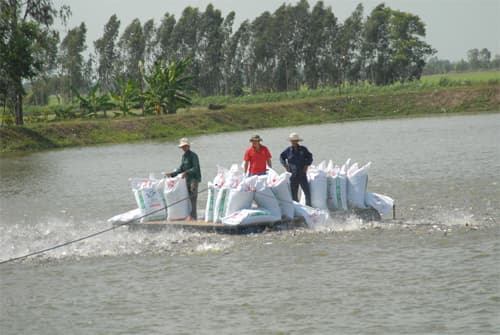 Cần chính sách đặc thù