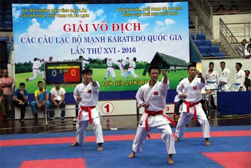 Khai mạc Giải vô địch các câu lạc bộ mạnh Karatedo quốc gia lần thứ XVI