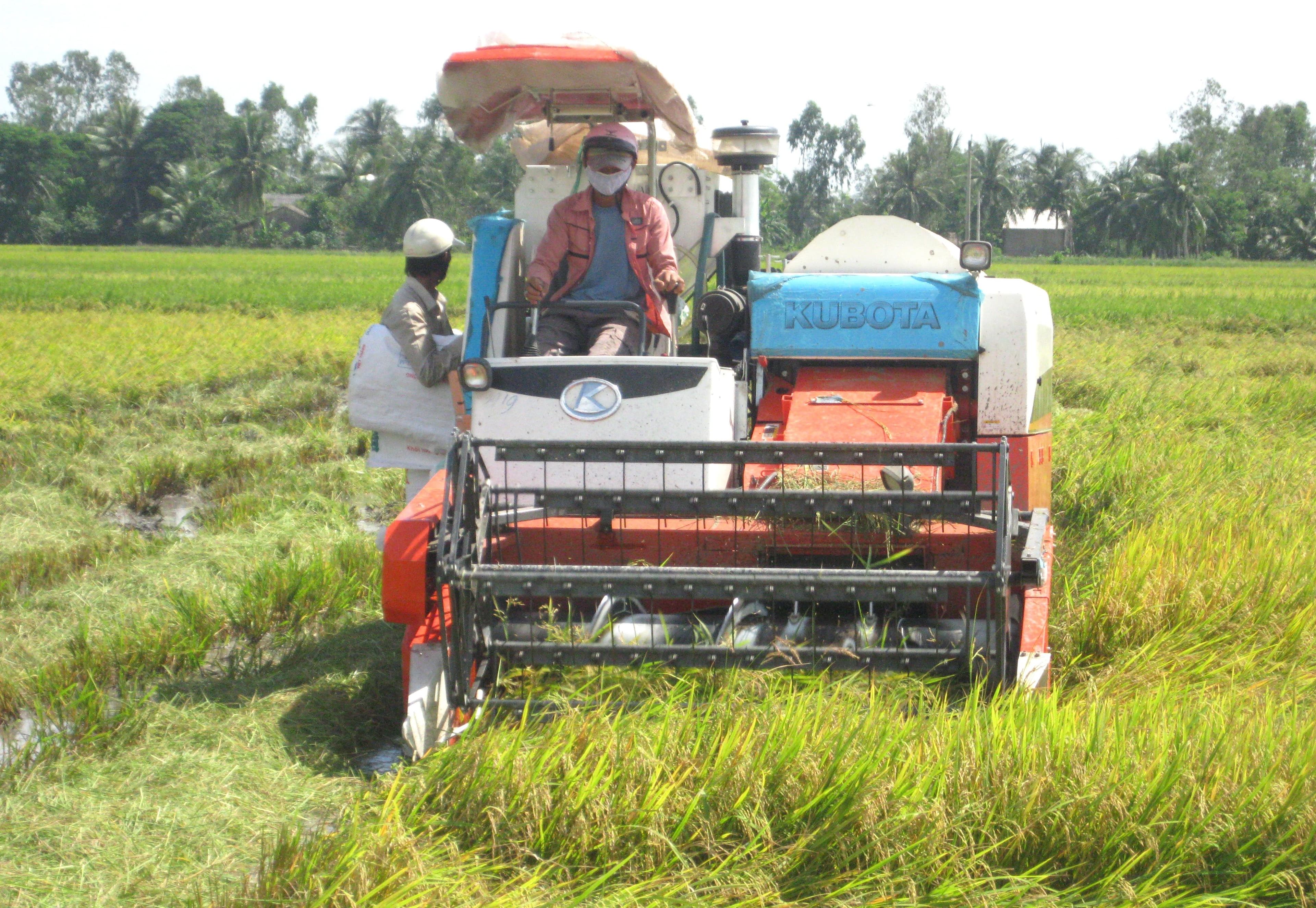 Đẩy mạnh ứng dụng khoa học công nghệ để phát triển nông nghiệp