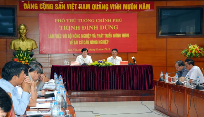 Sản phẩm nông nghiệp phải gắn với nhu cầu thị trường