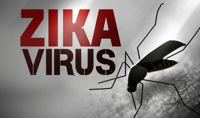 Phụ nữ nhiễm vi-rút Zika được phát hiện tại Nhật Bản không phải là người Việt Nam
