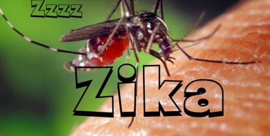 Khẩn trương điều tra dịch tễ khu vực phát hiện bệnh nhân nhiễm vi rút Zika