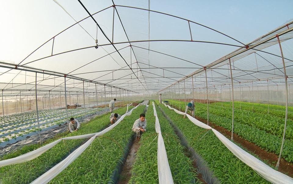 Doanh nghiệp cần tự làm mới mình để chiếm lĩnh thị trường