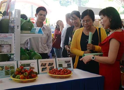 TP Hồ Chí Minh: Đẩy mạnh hiệu quả bình ổn thị trường phục vụ người dân