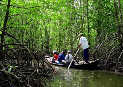 CÙNG ỨNG PHÓ VỚI BIẾN ĐỔI KHÍ HẬU
