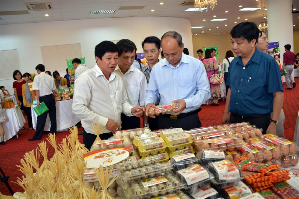 Vì sao chưa đẩy mạnh được xuất khẩu chính ngạch?