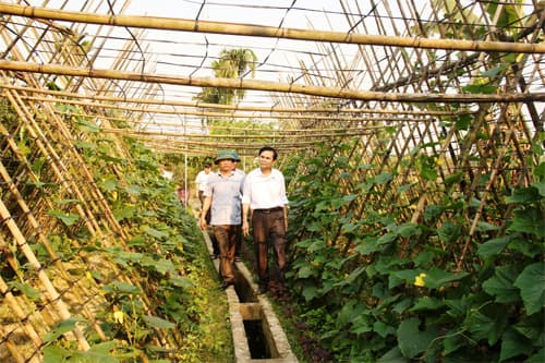 Hướng phát triển bền vững trong xây dựng nông thôn mới