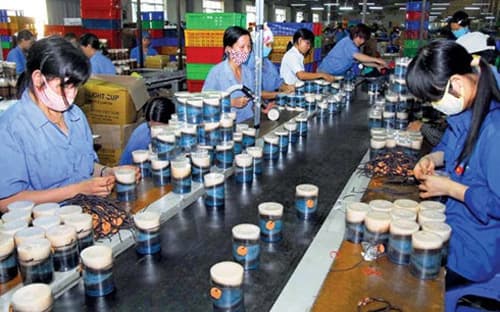 “Kinh tế Nhà nước, kinh tế tập thể cùng với kinh tế tư nhân là nòng cốt để phát triển nền kinh tế độc lập, tự chủ ” (1)