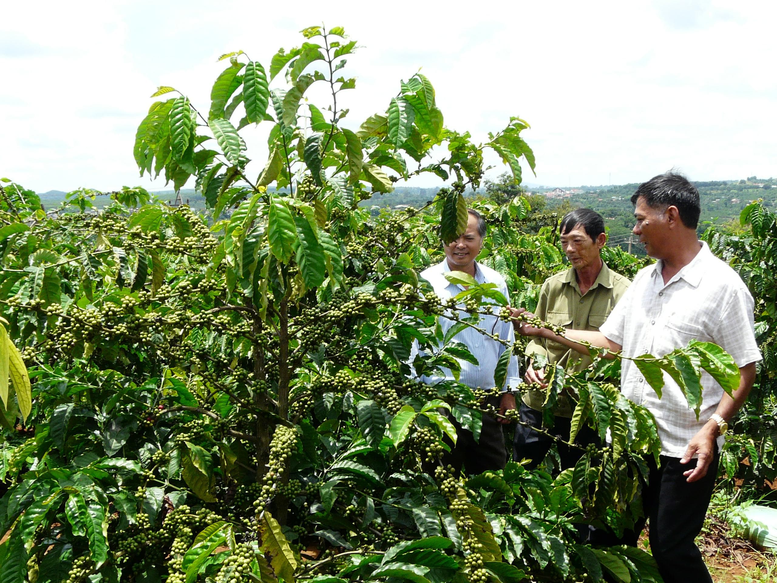 Tháo gỡ nút thắt để khu vực kinh tế tư nhân phát triển