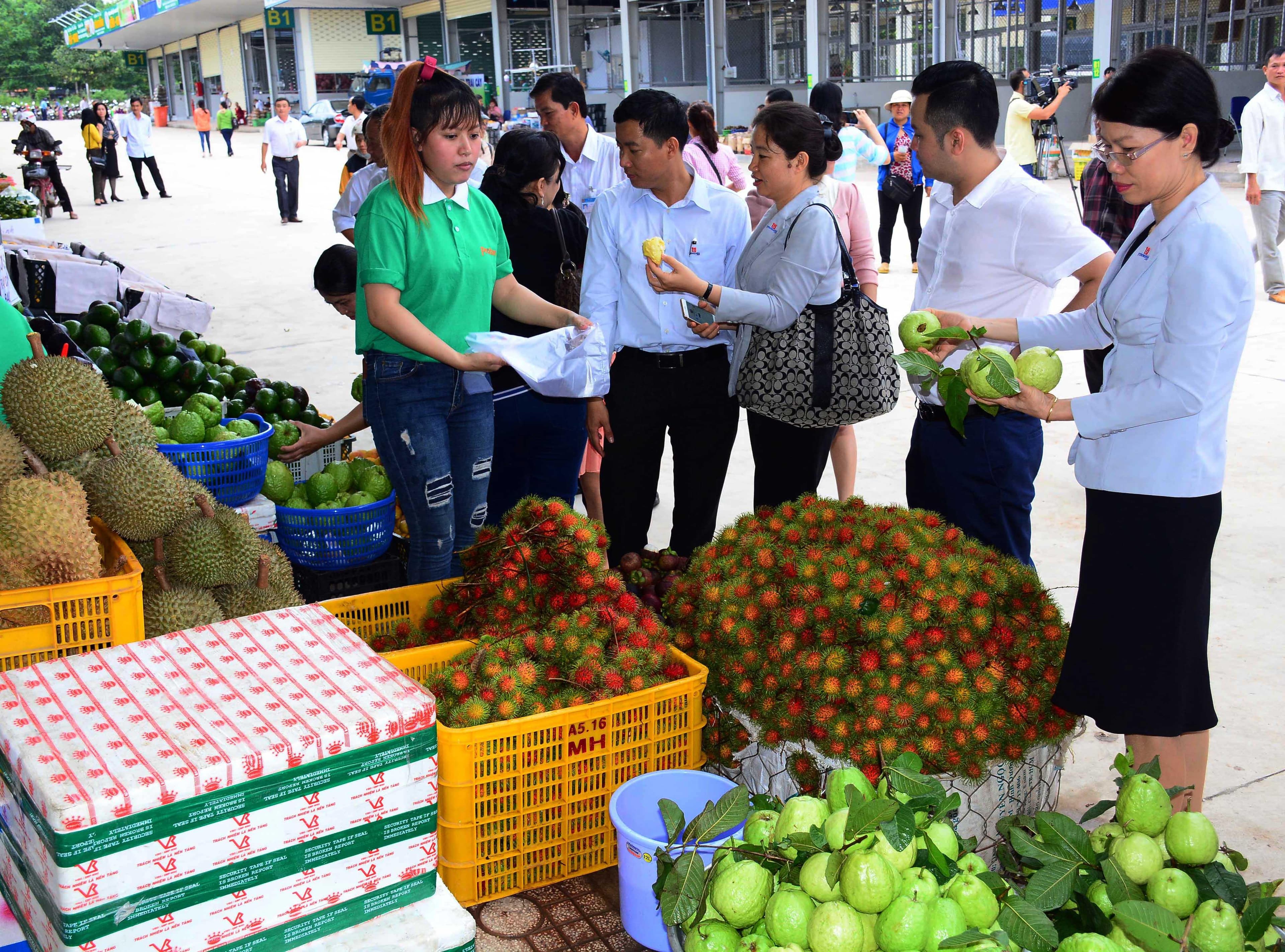 Liên kết vùng: Giải pháp hay nhưng hiệu quả còn hạn chế