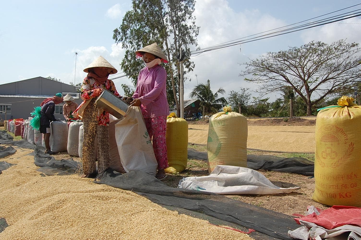 “Mở đường” cho nông sản Việt vào thị trường Trung Đông