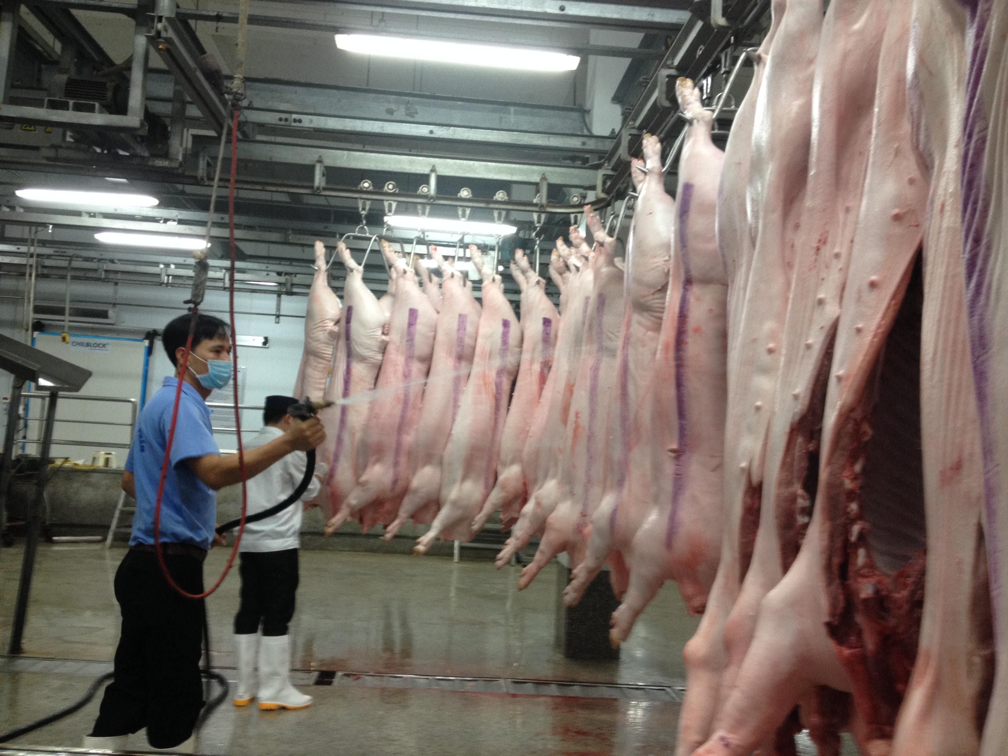 Quy hoạch chăn nuôi phải gắn với thị trường