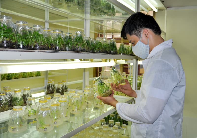 Gỡ khó cho các trung tâm ứng dụng tiến bộ khoa học và công nghệ