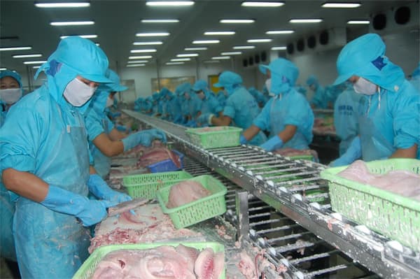 Chủ động tìm thị trường cho thủy sản Việt Nam